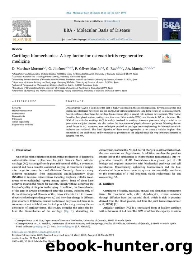 Cartilage biomechanics_ A key factor for osteoarthritis regenerative medicine by D. Martínez-Moreno & G. Jiménez & P. Gálvez-Martín & G. Rus & J.A. Marchal