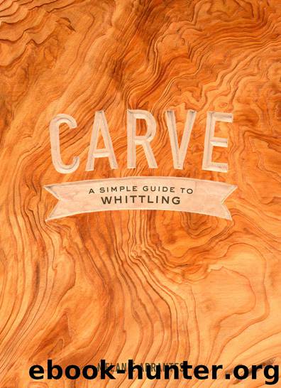 Carve: A Simple Guide to Whittling by Melanie Abrantes