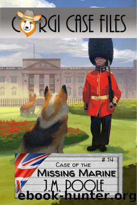 Case of the Missing Marine by Jeffrey Poole