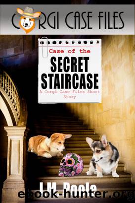 Case of the Secret Staircase by Jeffrey Poole
