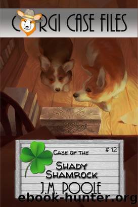 Case of the Shady Shamrock by Jeffrey Poole