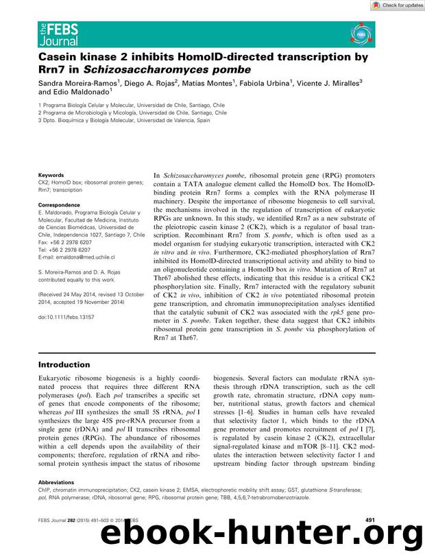Casein kinaseÂ 2 inhibits HomolDâdirected transcription by Rrn7 in SchizosaccharomycesÂ pombe by Unknown
