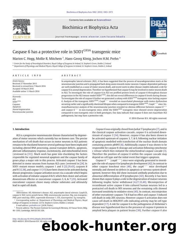 Caspase 6 has a protective role in SOD1G93A transgenic mice by Marion C. Hogg & Mollie R. Mitchem & Hans-Georg König & Jochen H.M. Prehn