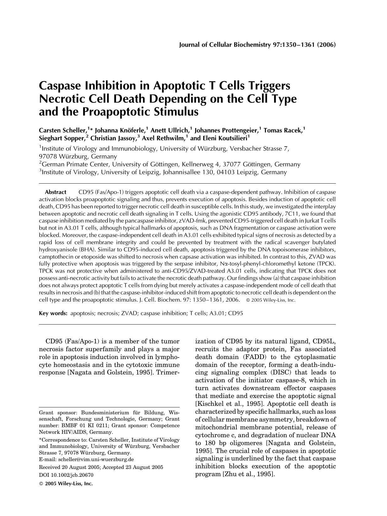 Caspase inhibition in apoptotic T cells triggers necrotic cell death depending on the cell type and the proapoptotic stimulus by Unknown
