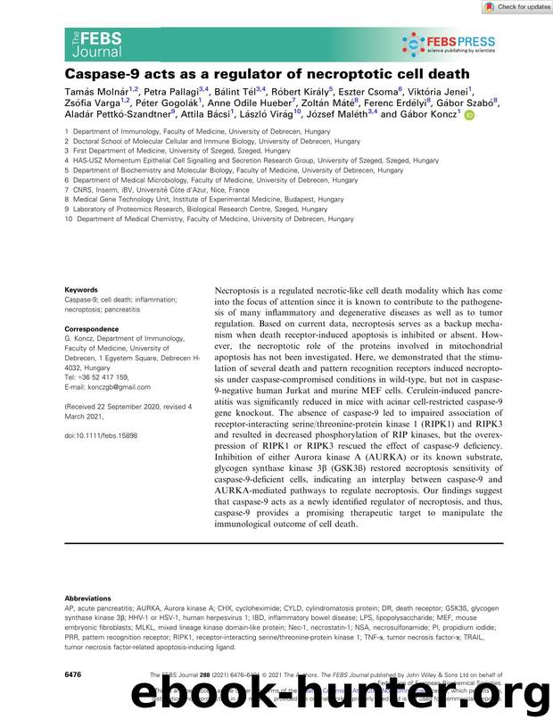 Caspaseâ9 acts as a regulator of necroptotic cell death by Unknown