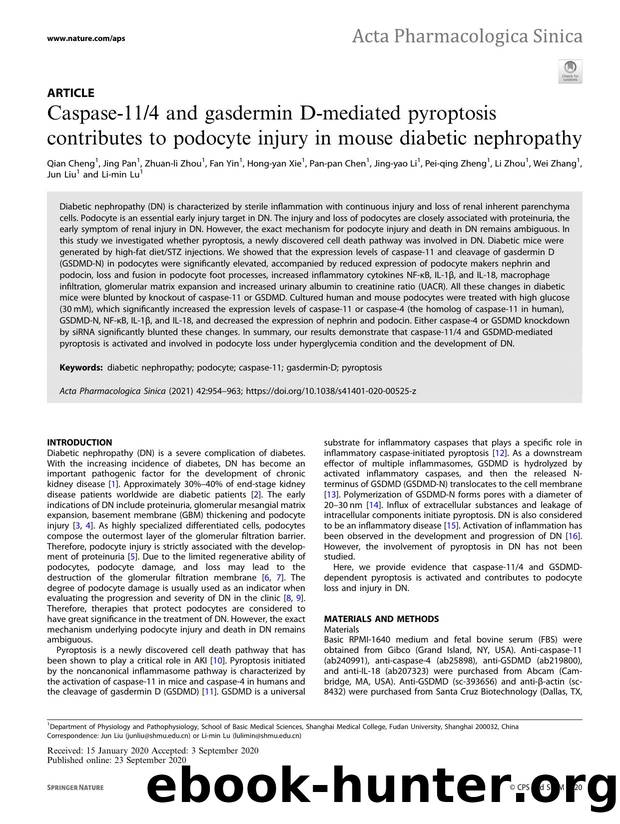 Caspase-114 and gasdermin D-mediated pyroptosis contributes to podocyte injury in mouse diabetic nephropathy by unknow
