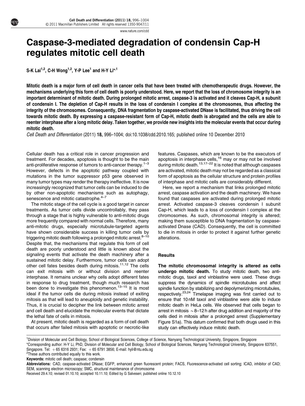 Caspase-3-mediated degradation of condensin Cap-H regulates mitotic cell death by S-K Lai & C-H Wong & Y-P Lee & H-Y Li