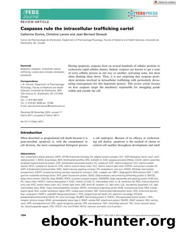 Caspases rule the intracellular trafficking cartel by Unknown