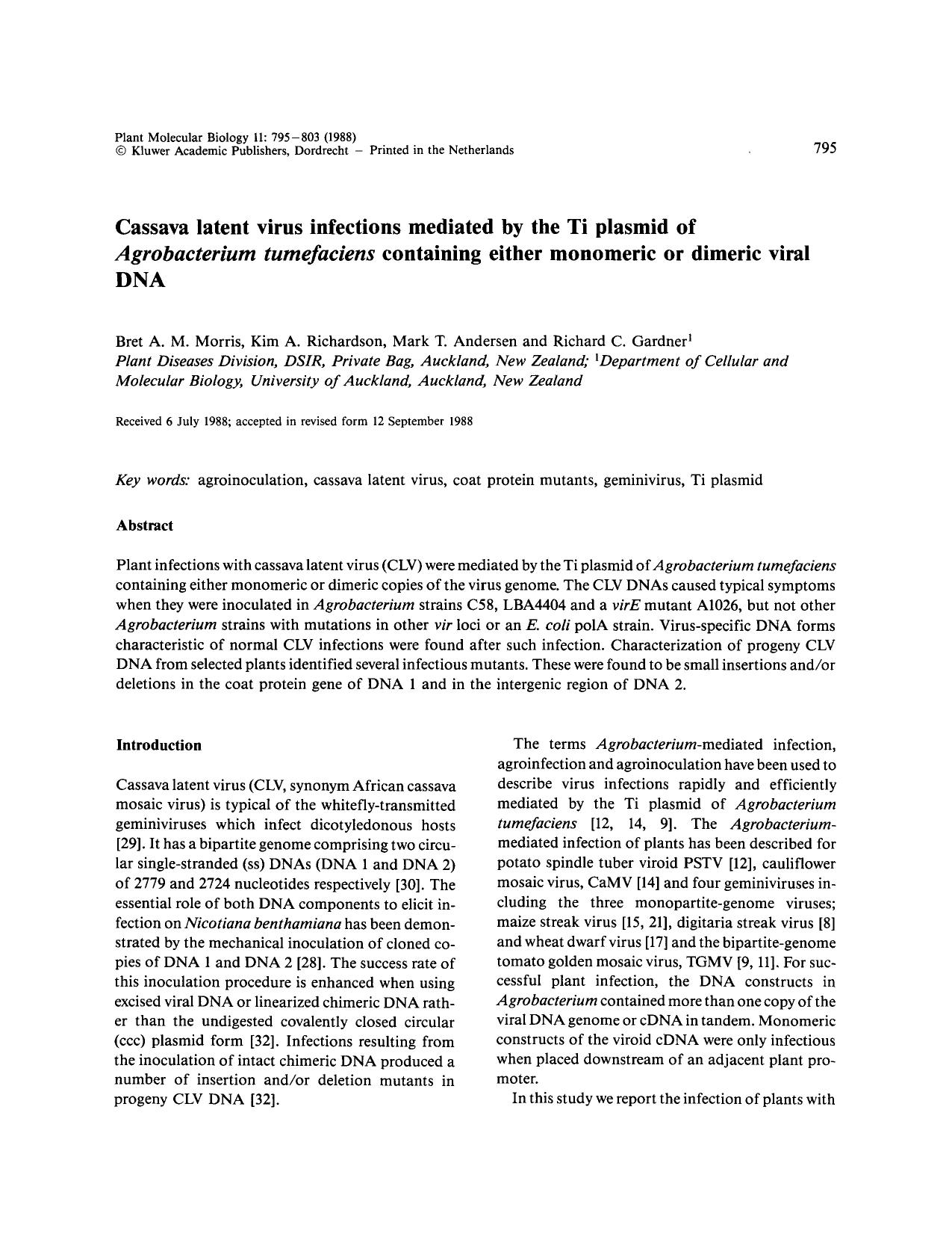 Cassava latent virus infections mediated by the Ti plasmid of <Emphasis Type="Italic">Agrobacterium tumefaciens <Emphasis> containing either monomeric or dimeric viral DNA by Unknown