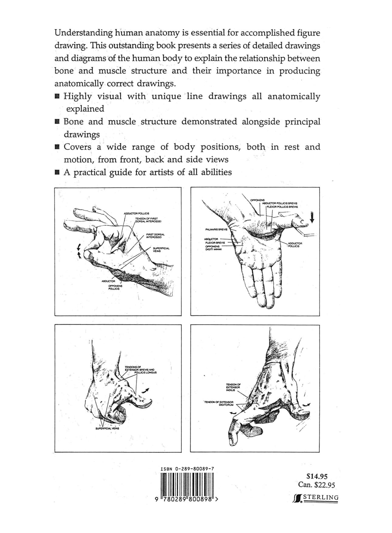 Cassell - Drawing Human Anatomy by fixed && cleaned by adeda