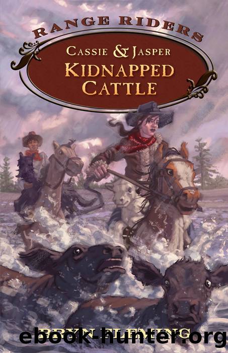 Cassie & Jasper: Kidnapped Cattle by Bryn Fleming