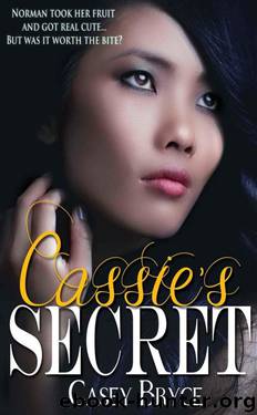 Cassie's Secret by Casey Bryce