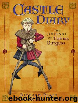 Castle Diary by Richard Platt