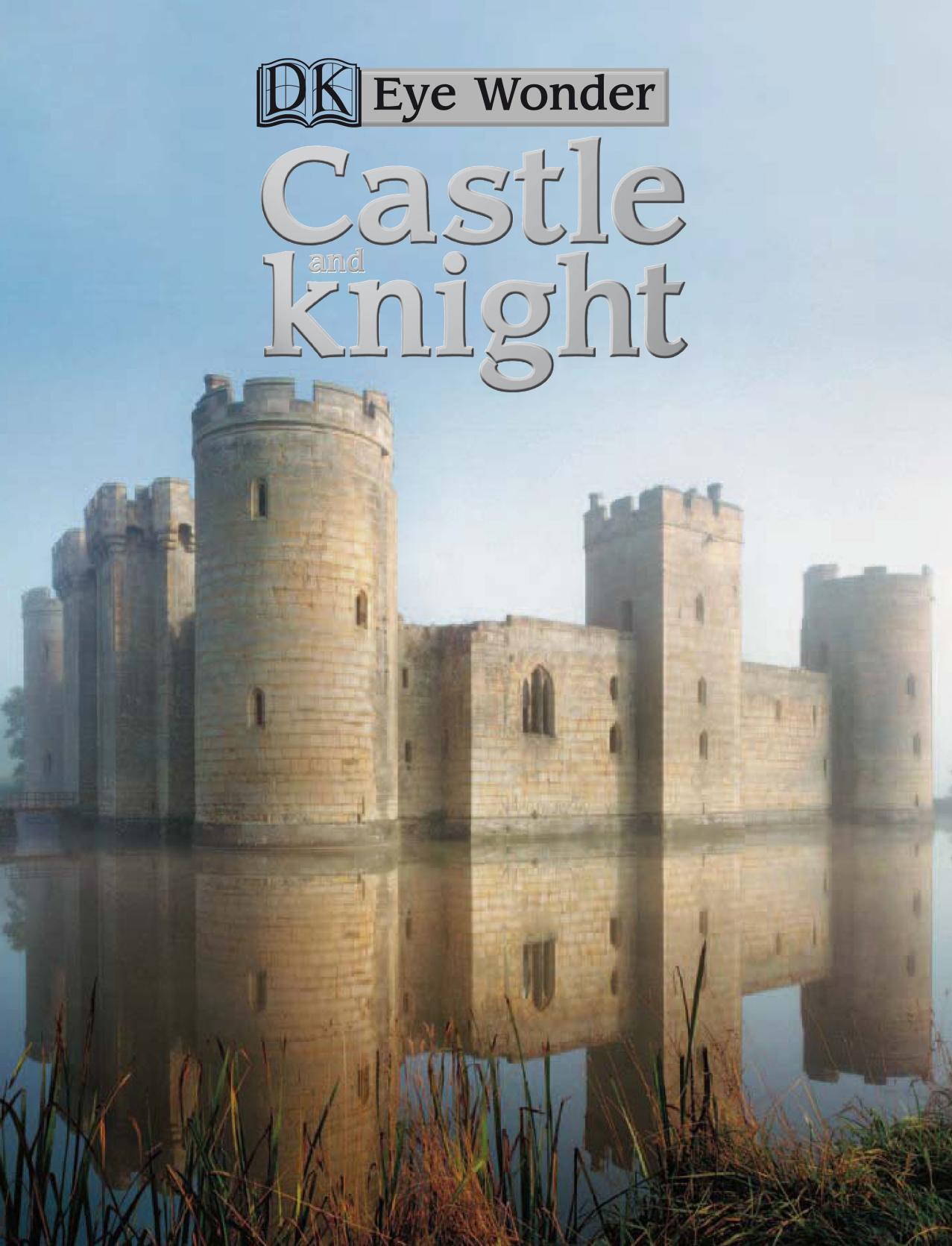 Castle and Knight by Eleur Star
