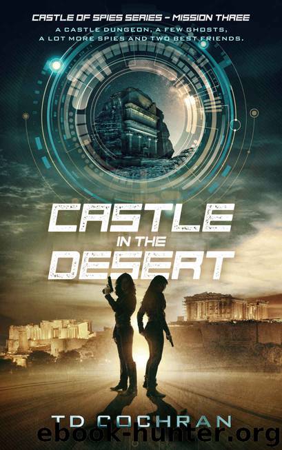 Castle in the Desert by T D Cochran