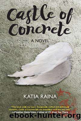 Castle of Concrete by Katia Raina