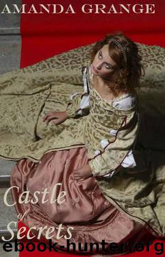 Castle of Secrets by Amanda Grange