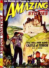 Castle of Terror by E.J. Liston