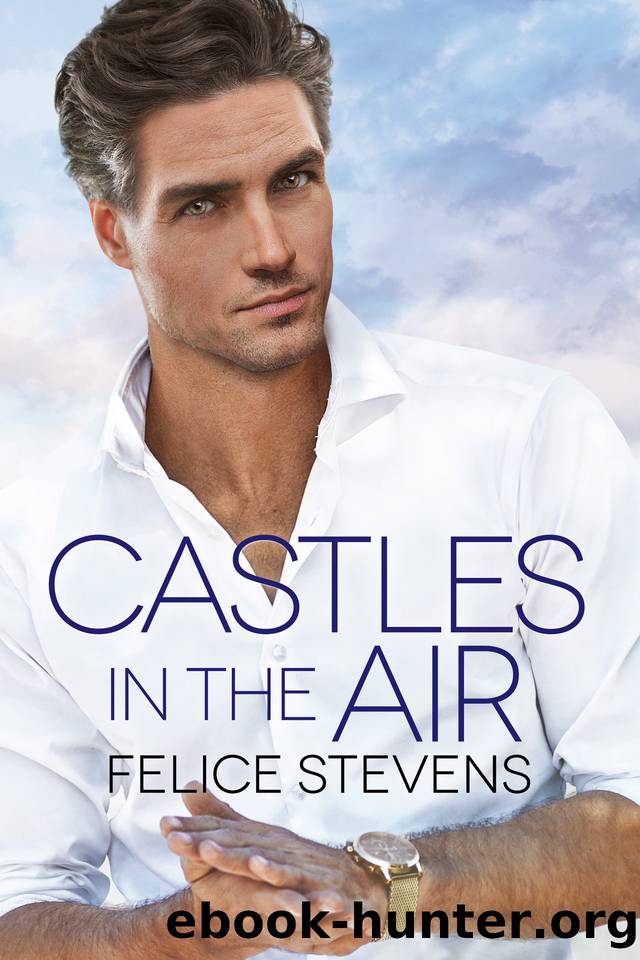 Castles in the Air by Felice Stevens