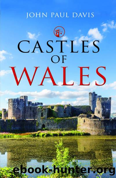 Castles of Wales by Davis John;