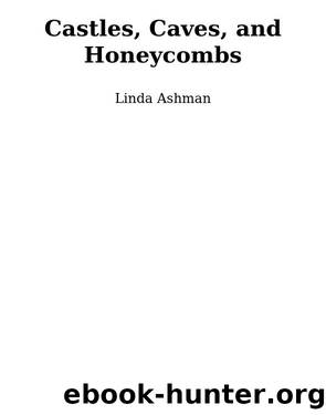 Castles, Caves, and Honeycombs by Linda Ashman