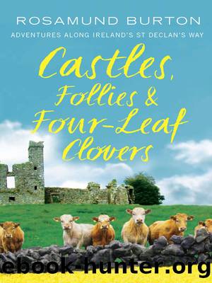 Castles, Follies and Four-Leaf Clovers by Rosamund Burton