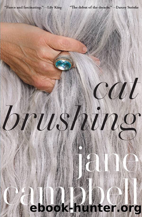 Cat Brushing by Jane Campbell