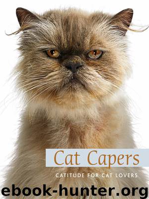 Cat Capers by Gandee Vasan