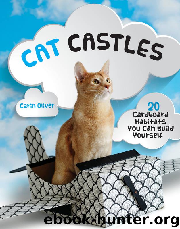 Cat Castles by Carin Oliver