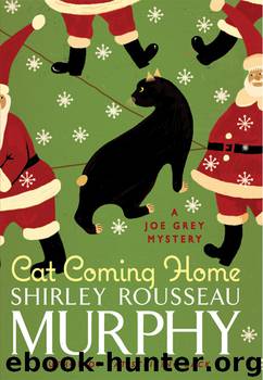 Cat Coming Home by Shirley Rousseau Murphy