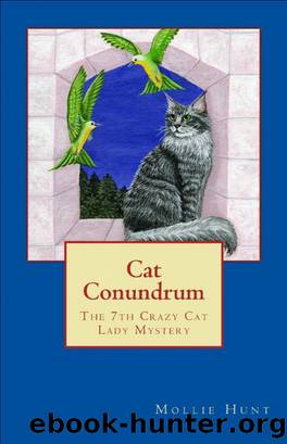 Cat Conundrum by Mollie Hunt