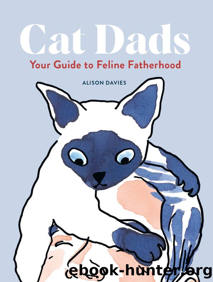 Cat Dads by Alison Davies