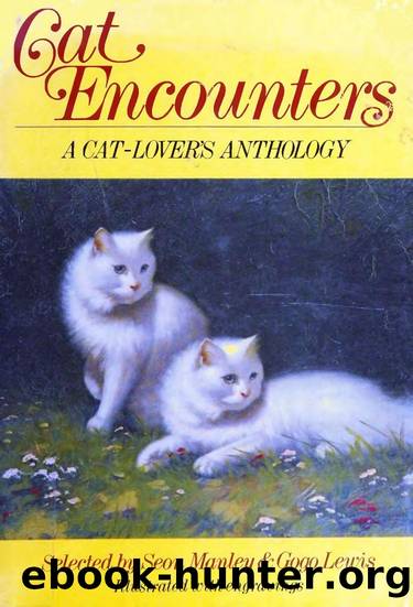 Cat Encounters (1979) by Seon Manley && Gogo Lewis (Eds.)