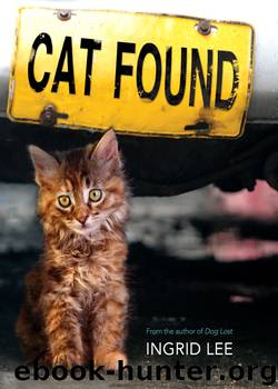 Cat Found by Ingrid Lee