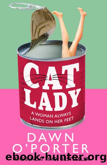 Cat Lady by Dawn O’Porter