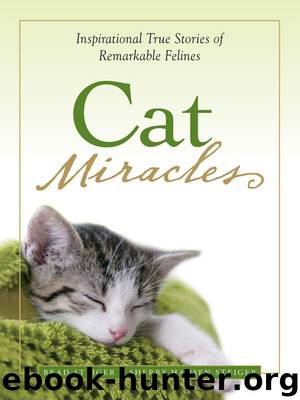 Cat Miracles by Brad Steiger & Sherry Hansen Steiger