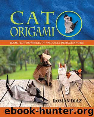 Cat Origami by Roman Diaz