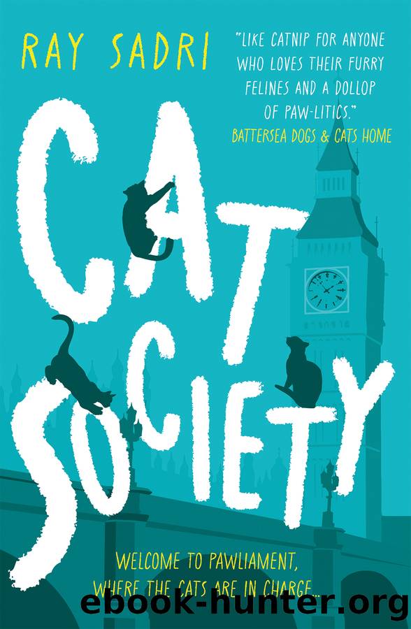 Cat Society by Ray Sadri