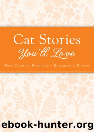 Cat Stories You'll Love by Colleen Sell