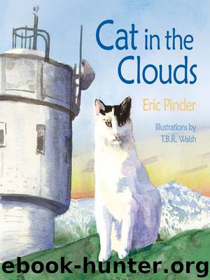 Cat in the Clouds by Eric Pinder