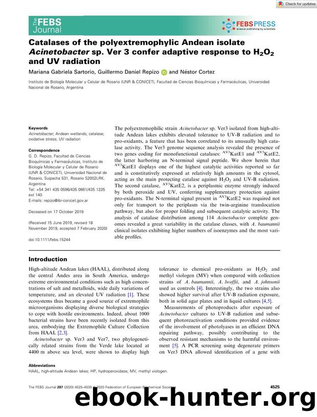 Catalases of the polyextremophylic Andean isolate Acinetobacter sp. Ver 3 confer adaptive response to H2O2 and UV radiation by Unknown