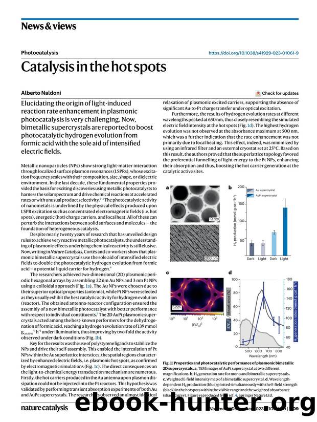 Catalysis in the hot spots by Alberto Naldoni