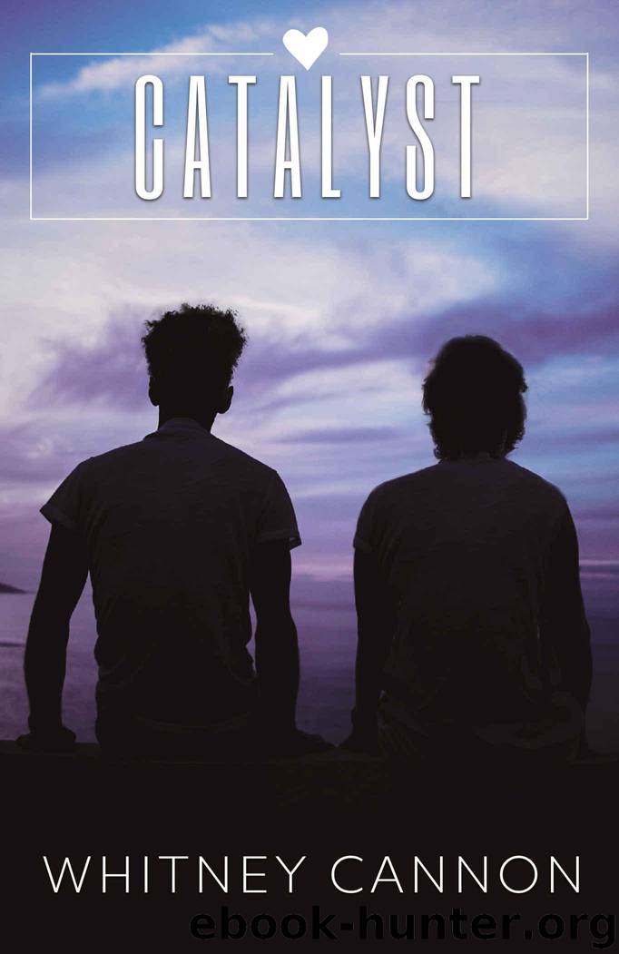 Catalyst (Connectivity Book 2) by Cannon Whitney