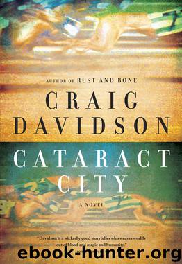 Cataract City by Craig Davidson