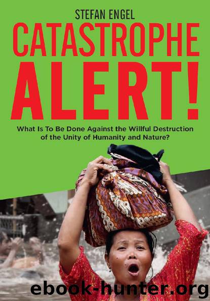 Catastrophe Alert! by Stefan Engel