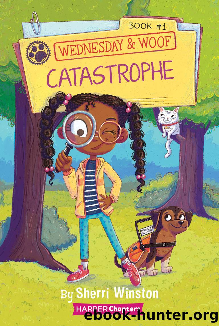 Catastrophe by Sherri Winston