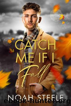 Catch Me If I Fall: A Second Chance Gay Romance by Noah Steele