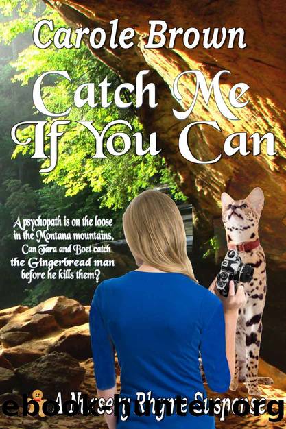 Catch Me If You Can by Carole Brown