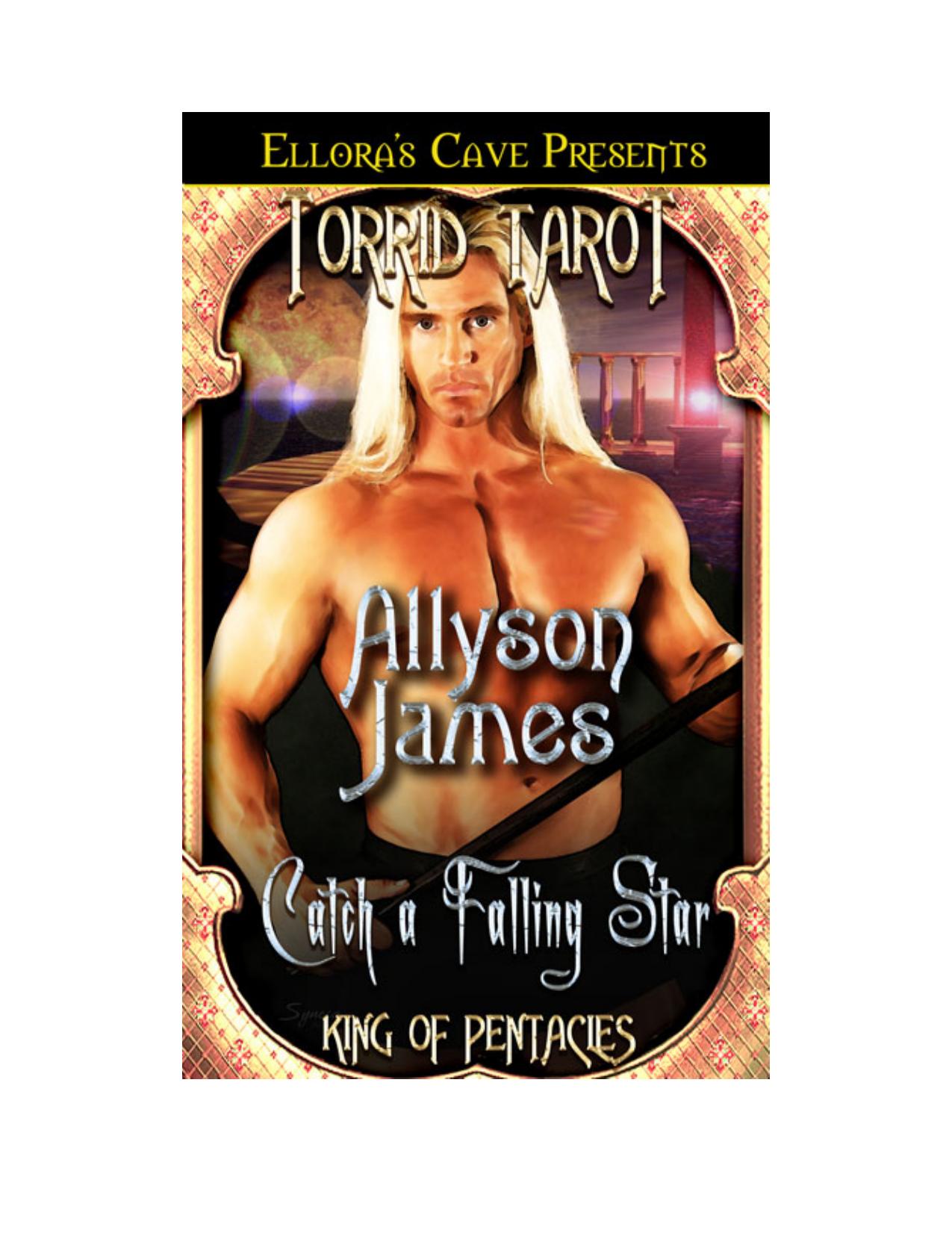 Catch a Falling Star by Allyson James