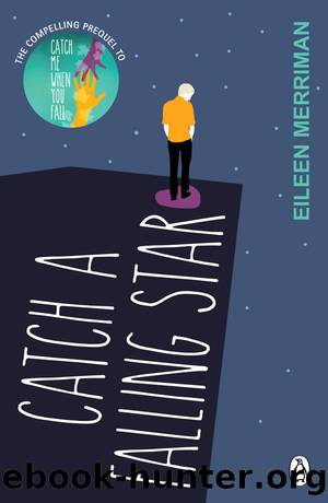 Catch a Falling Star by Eileen Merriman